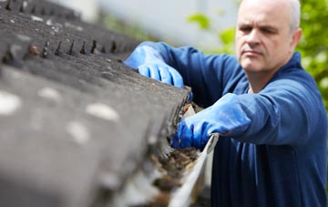 cleaning and inspecting Organford roofs