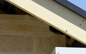 soffit repair Organford