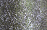 Organford fibreglass roof work